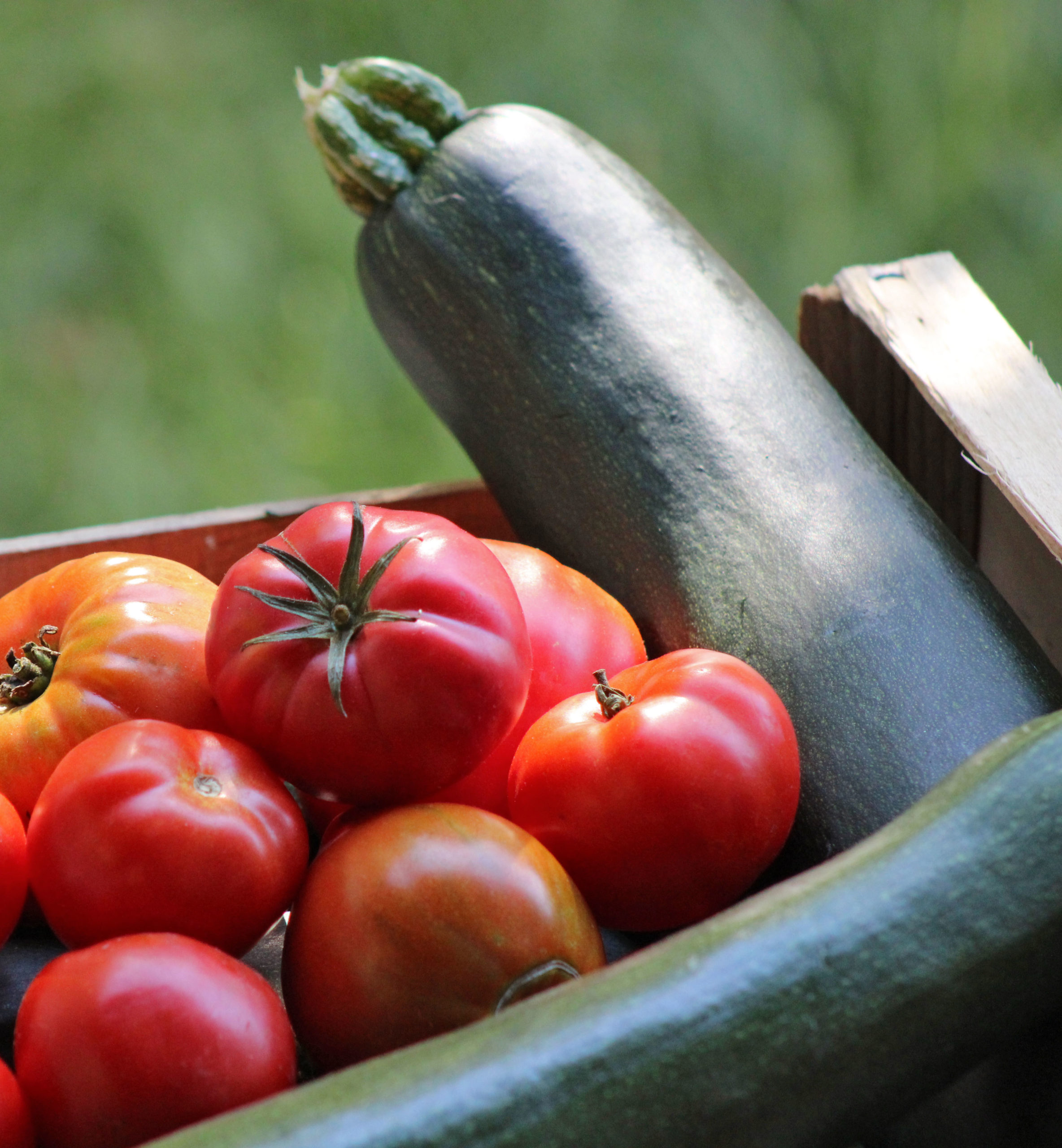 Cagette de légumes de saison, de tomates et de courgettes